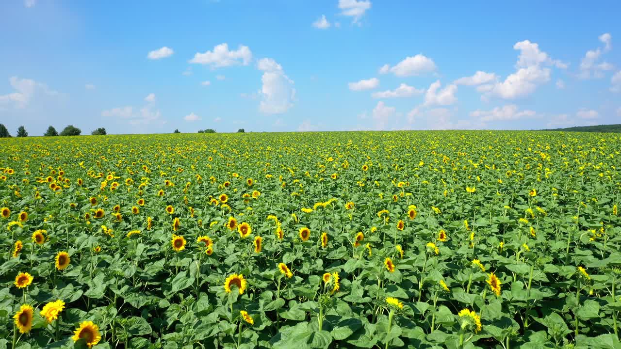 工厂的管道污染大气。工厂管道烟气污染环境视频素材