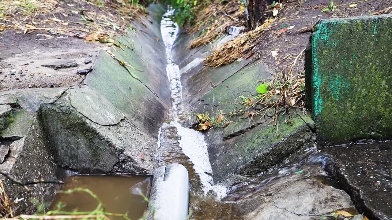 在城市公园、湖泊中排入污水供休闲之用。生态问题。视频素材