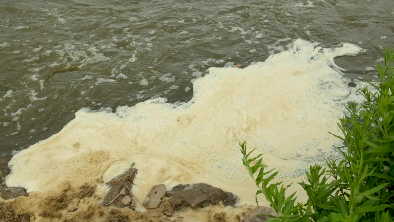 河岸上肮脏的泡沫。环境污染视频素材