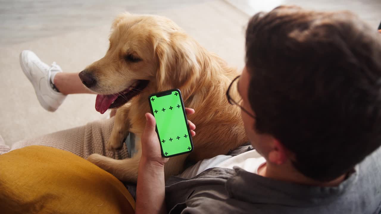 黑发男子戴着眼镜坐在沙发上，带着金毛猎犬，用智能手机购买动物食品，为狗狗送货。网上宠物店购物。彩色绿色屏幕在手机上视频素材