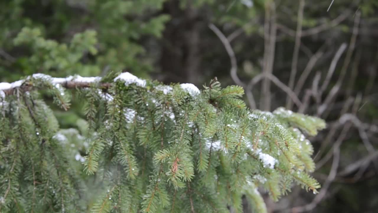 降雪,糟糕的天气,视频素材