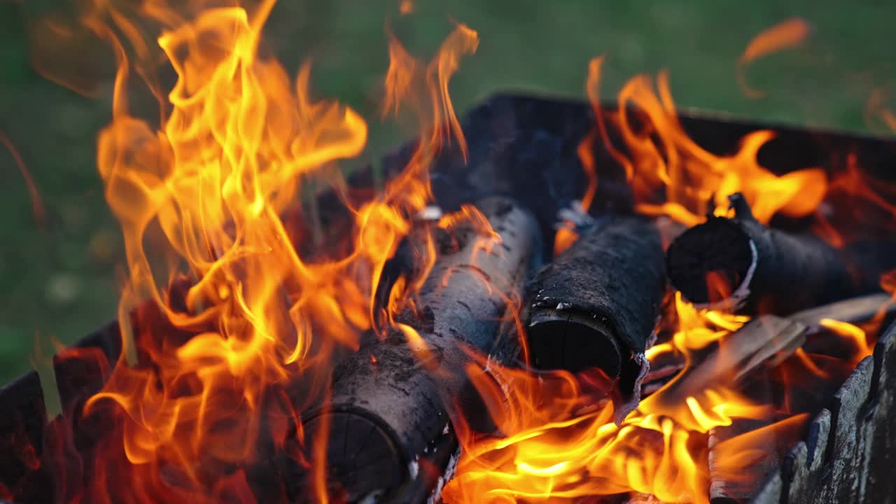 靠近火焰和火焰。温暖的壁炉和许多树木准备烧烤视频素材