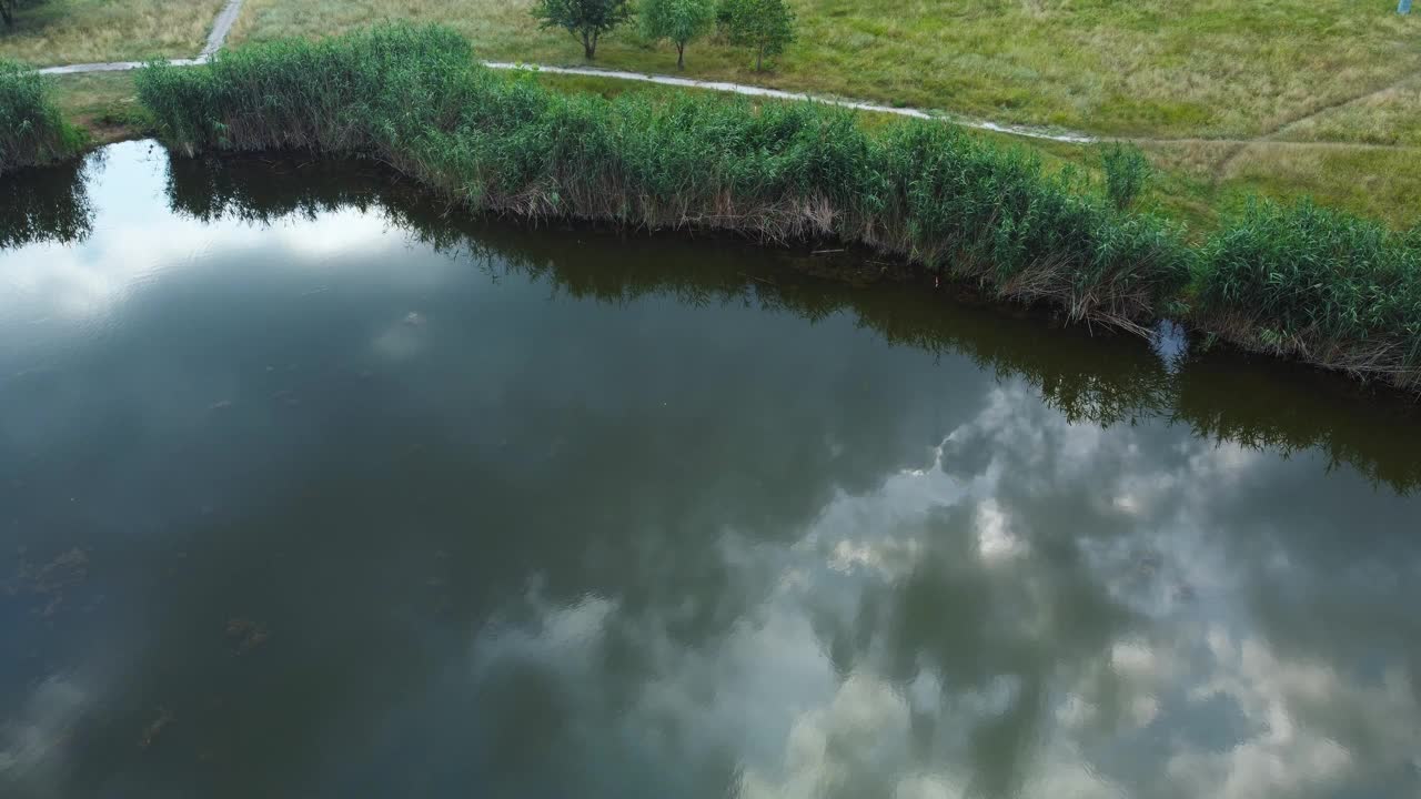 小湖两岸杂草丛生，鸟瞰视频素材