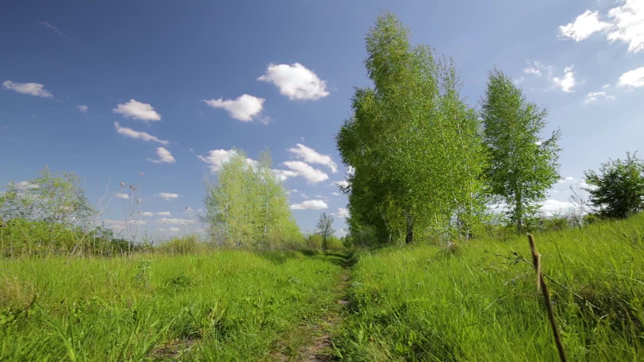 农村夏天的风景。蓝天白云，森林，道路穿越绿色草地。自然景观的荒野。乡村户外，轻松的天气，流畅的动作，空间的风景。视频素材