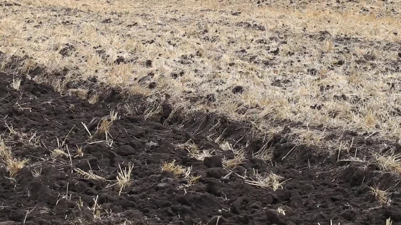 拖拉机耕地和耕作。风景优美的农用地和农场。农业。视频素材