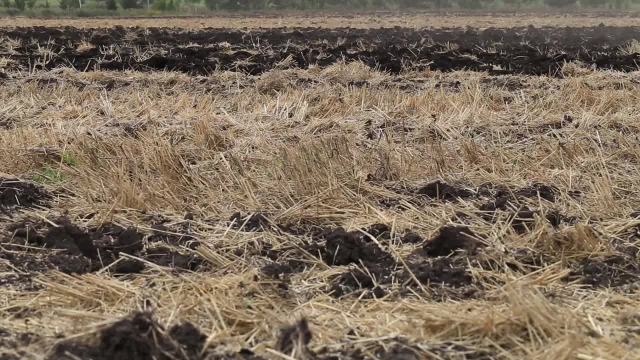 拖拉机耕地和耕作。风景优美的农用地和农场。农业。视频素材