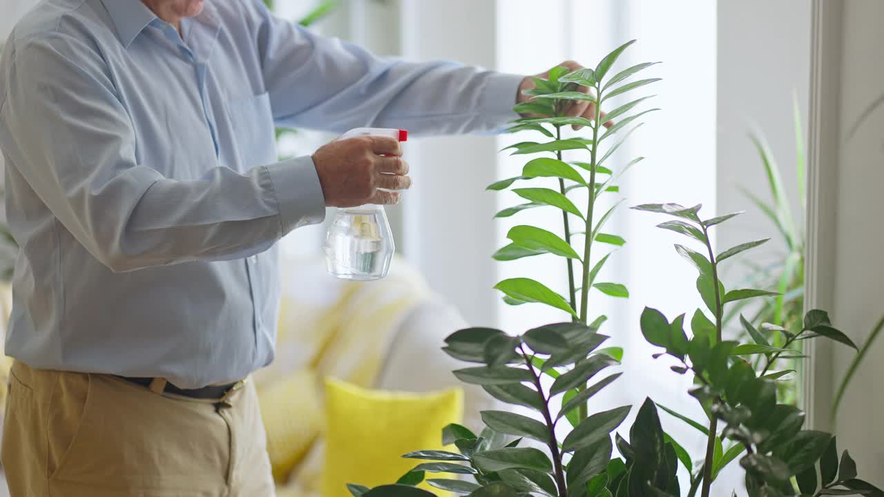 老男人培育植物视频素材