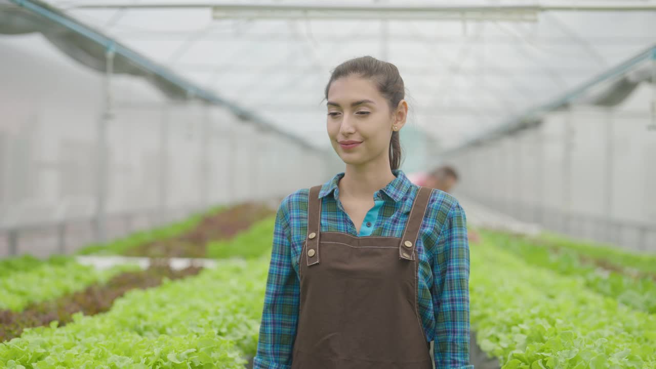 肖像微笑有吸引力的亚洲女主人站在水培温室和自信地看着相机。视频素材