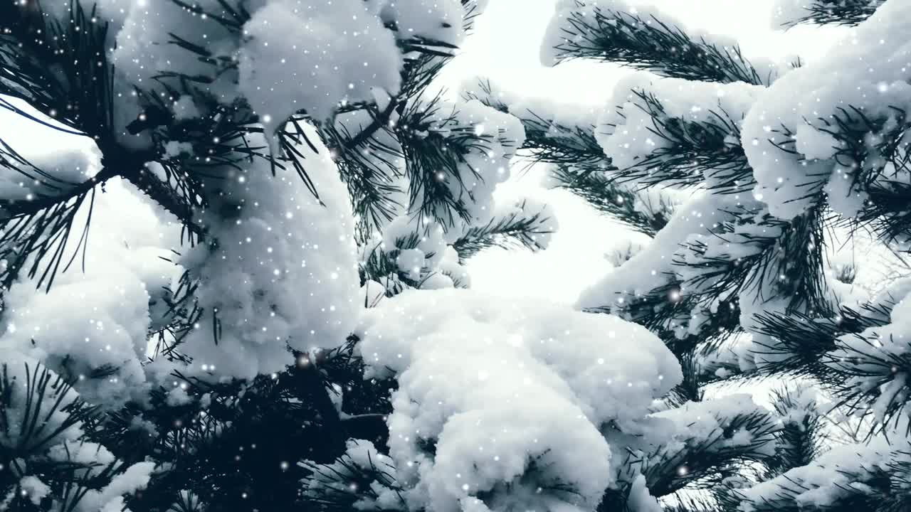 圣诞佳节背景，雪花纷飞，树上覆盖着皑皑白雪，冬暖夏凉视频素材