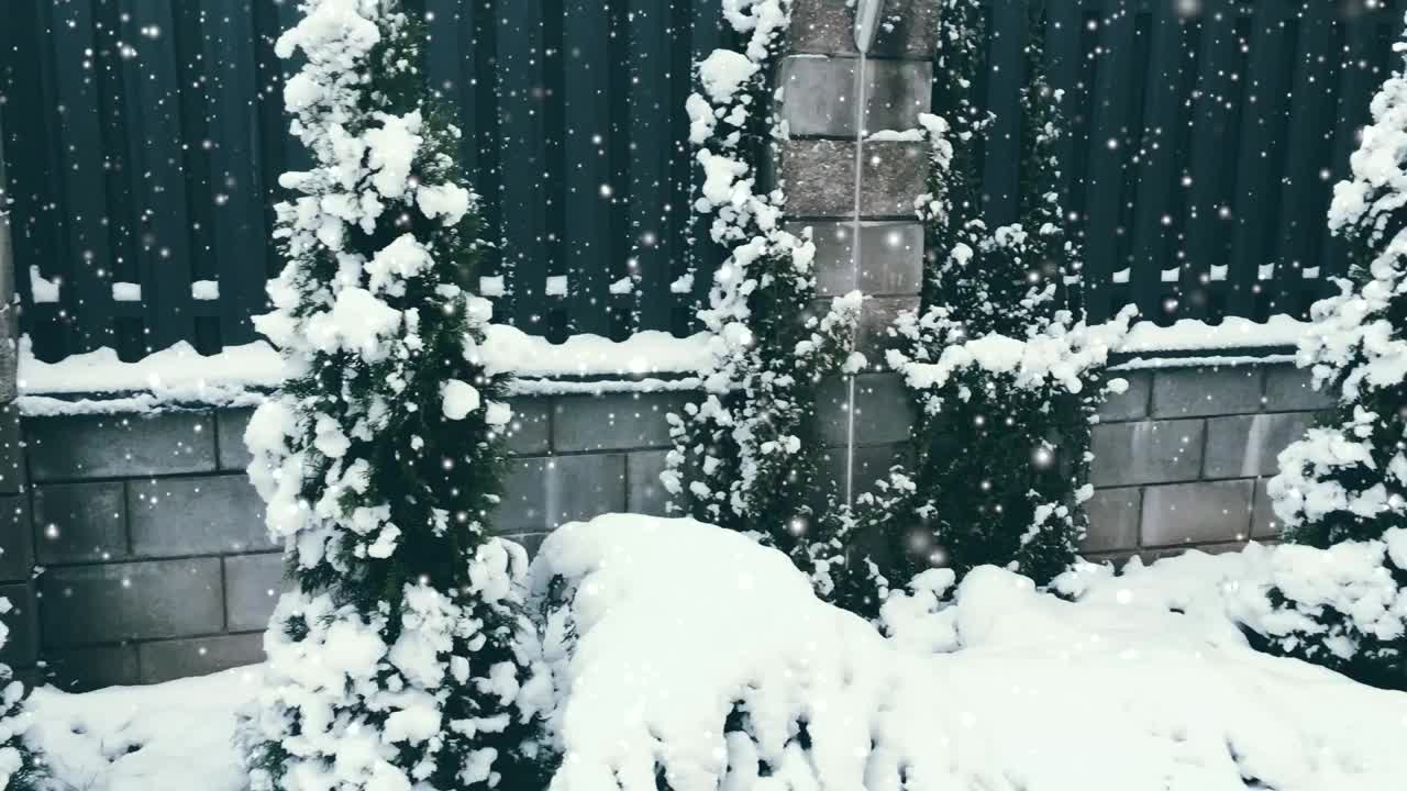 圣诞佳节背景，雪花纷飞，满园白雪，冬去春来视频素材