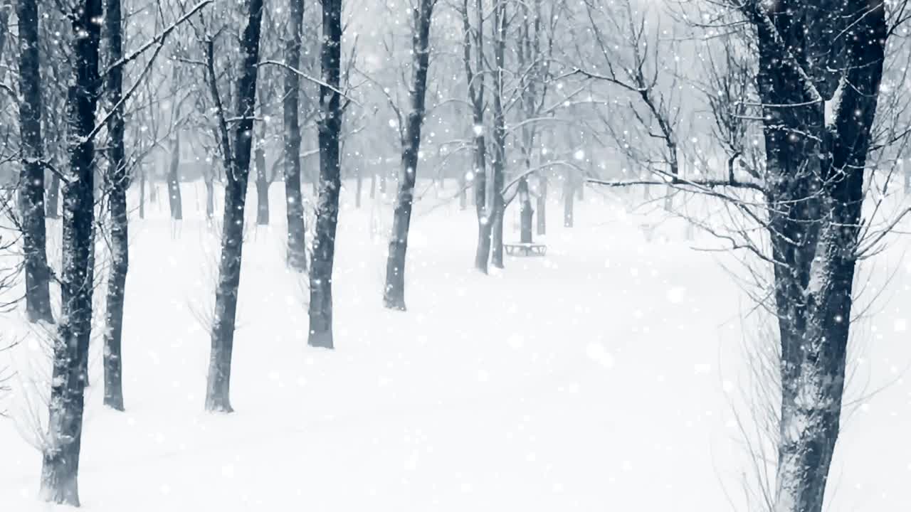 冬天的森林作为圣诞节的背景，下雪了，树被雪覆盖视频素材