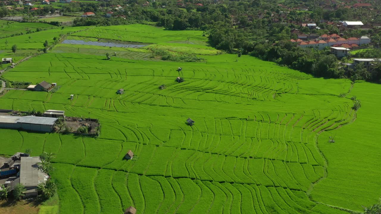 晴天巴厘岛著名的稻田村空中全景4k印度尼西亚视频素材