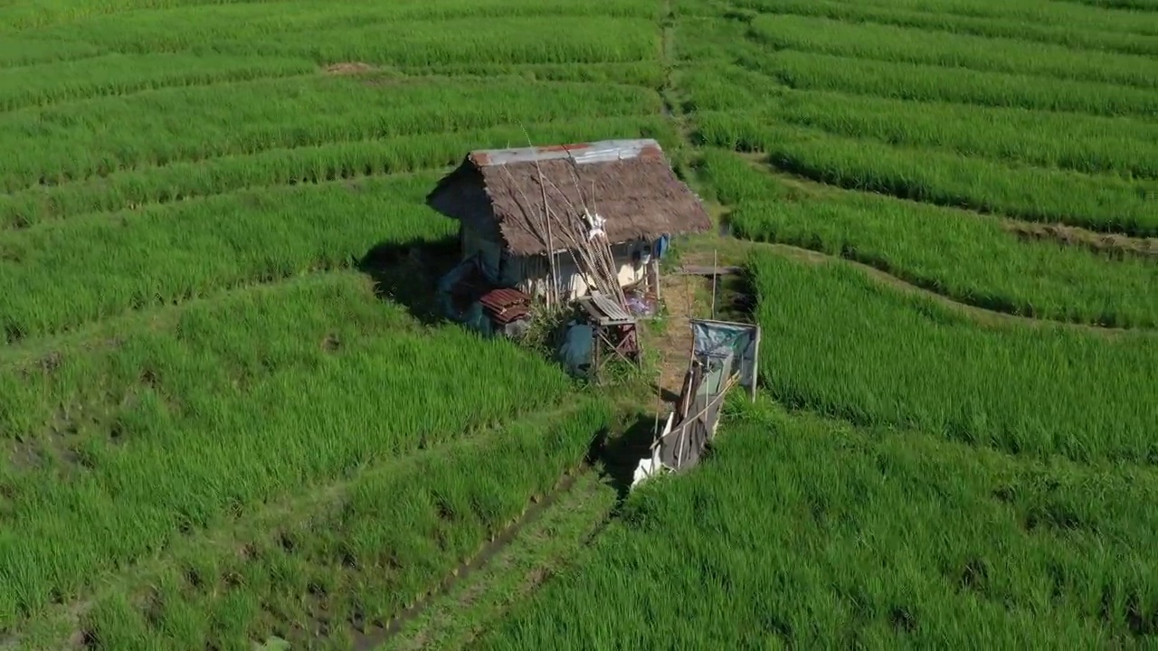 晴天巴厘岛著名的稻田房子空中顶楼全景4k印度尼西亚视频素材