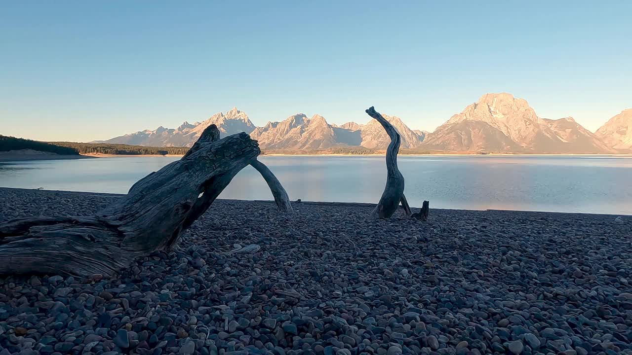 漫步在杰克逊湖的岩石海滩上，经过浮木视频素材