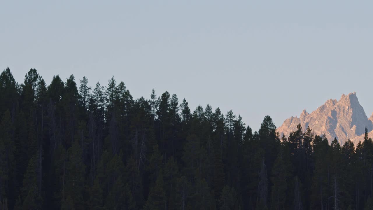 放大平移视图，大提顿山脉的山峰上的森林视频素材