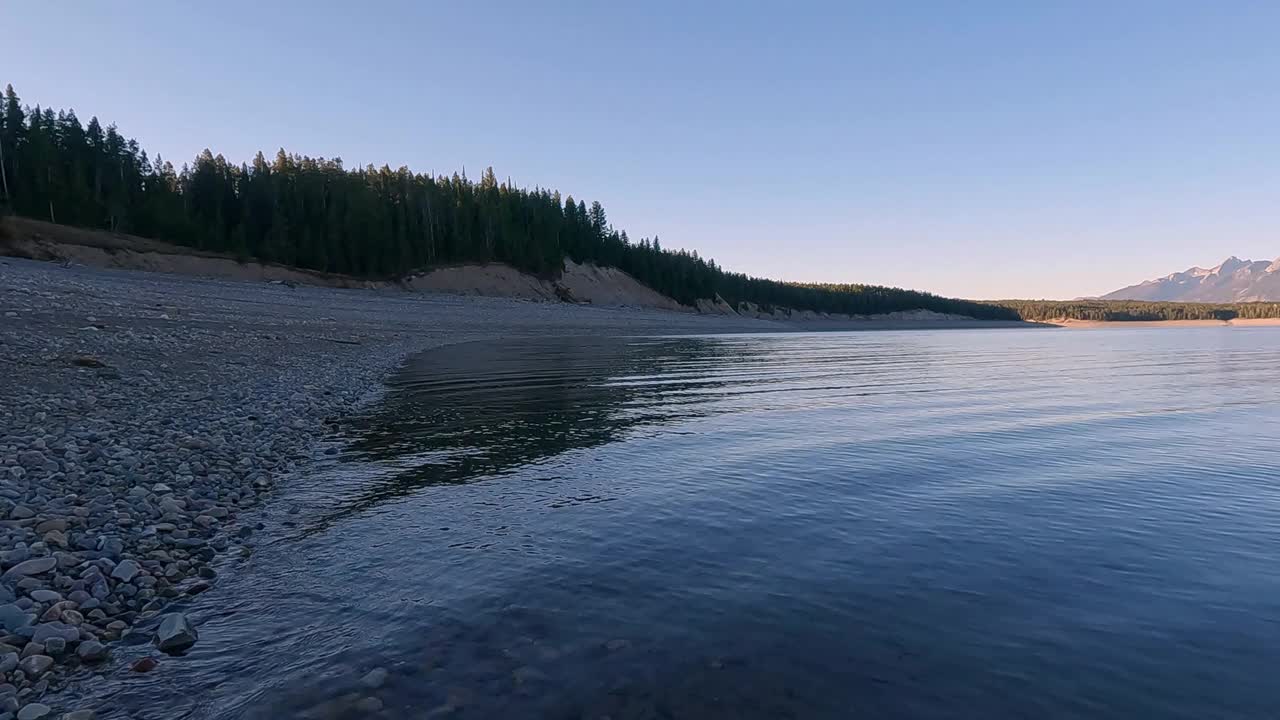 在杰克逊湖的海岸线上移动然后沉入水中视频素材