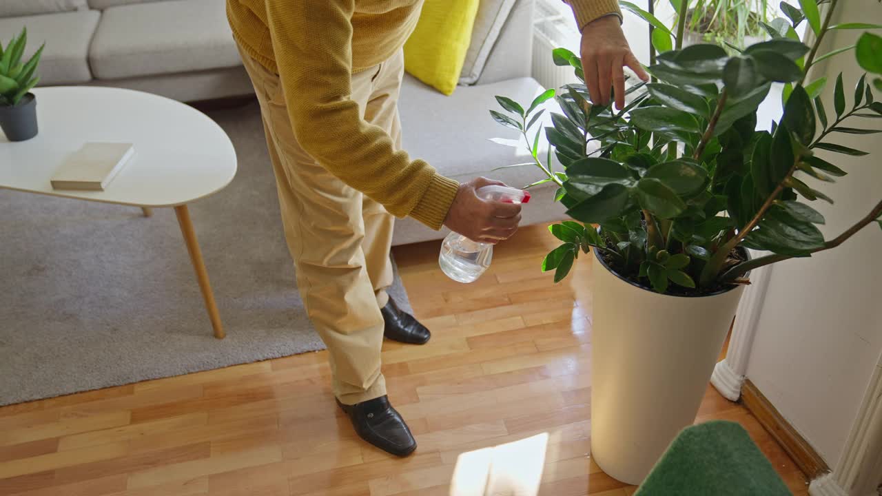 老男人培育植物视频素材