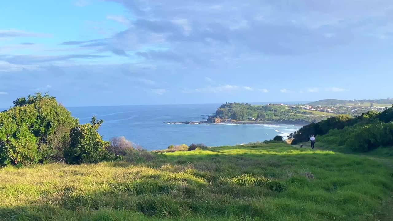 海岬狗带海景视频素材