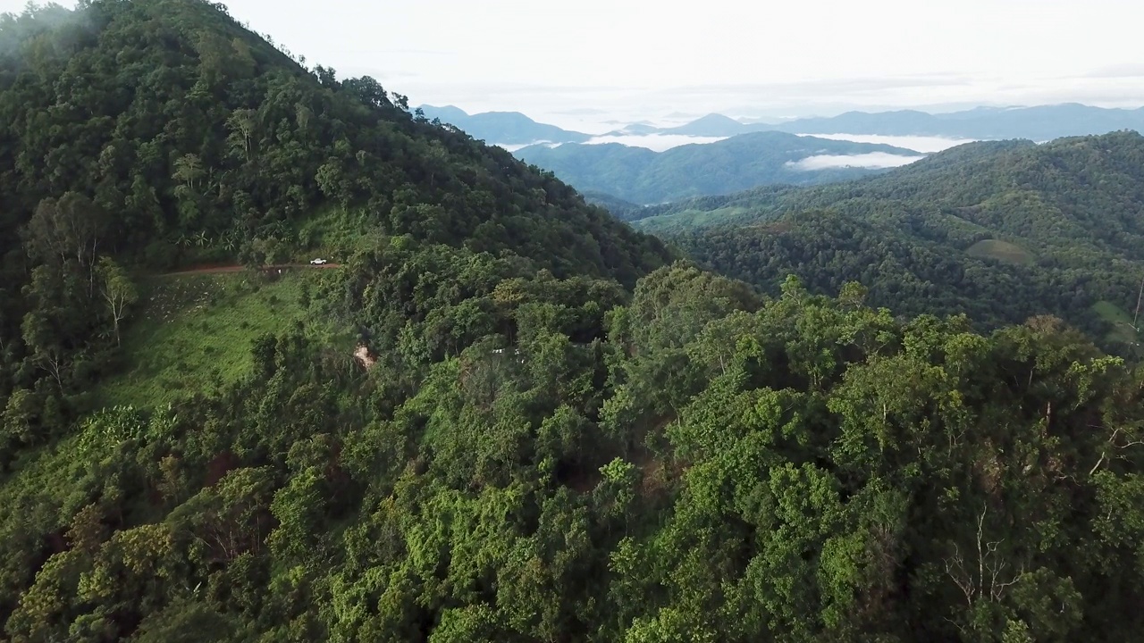 俯瞰通过绿色森林和山的乡村道路视频素材