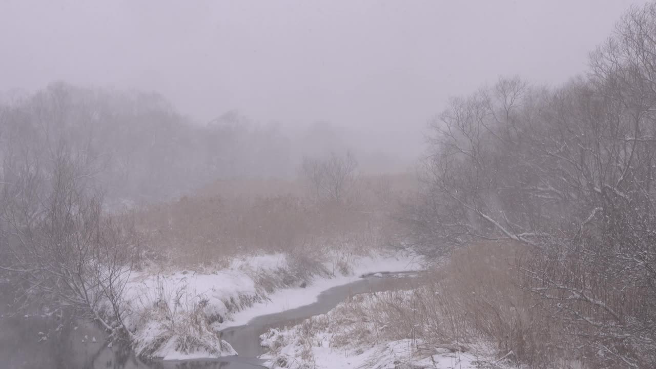 雪景/北海道，日本视频素材