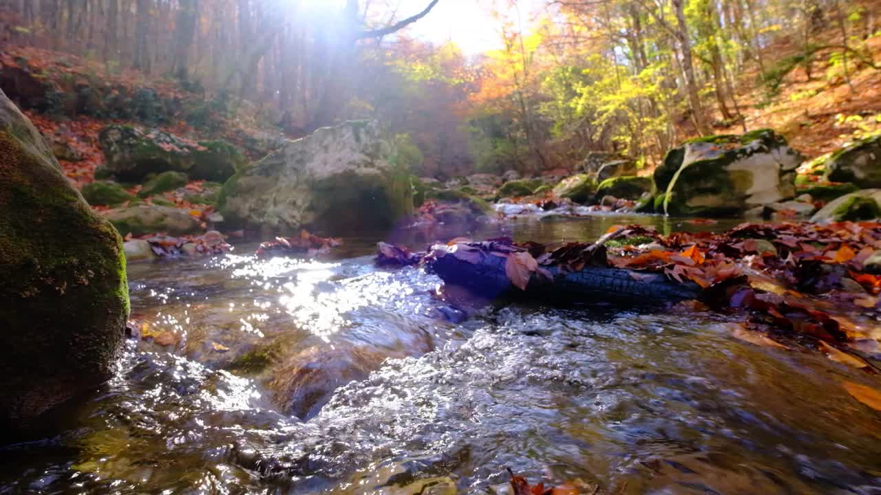 从山上瀑布流下的河流的景色。山上的森林河流。山林河景。美丽的风景。下降。秋天的心情。视频素材