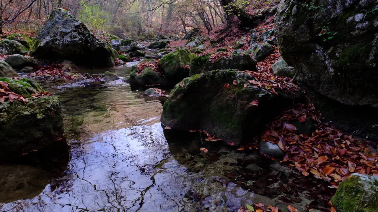 从山上瀑布流下的河流的景色。山上的森林河流。山林河景。美丽的风景。下降。秋天的心情。视频素材