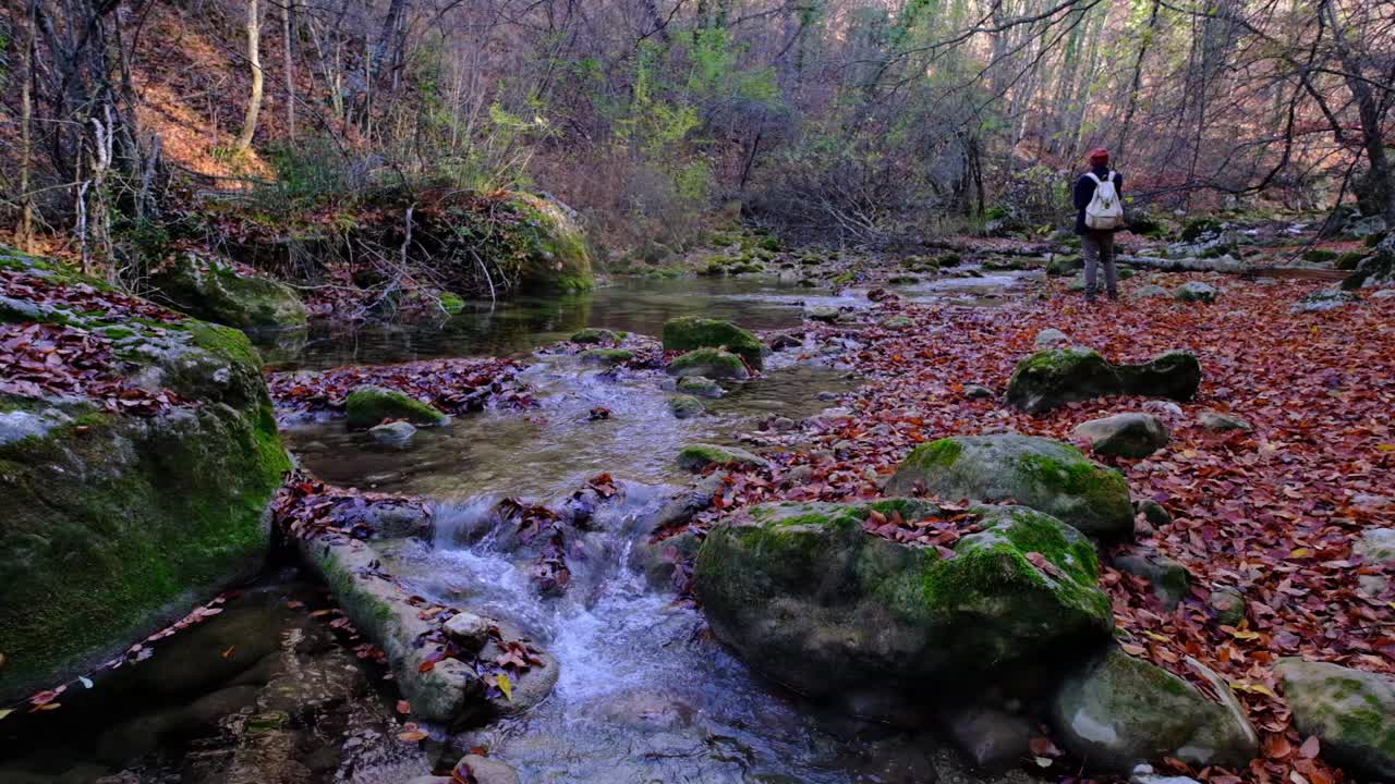 从山上瀑布流下的河流的景色。山上的森林河流。山林河景。美丽的风景。下降。秋天的心情。视频素材