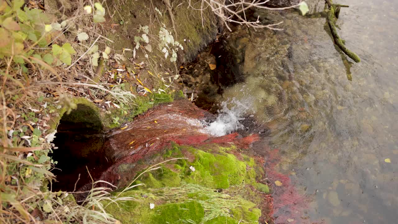 水管将水排入一个小池塘视频素材