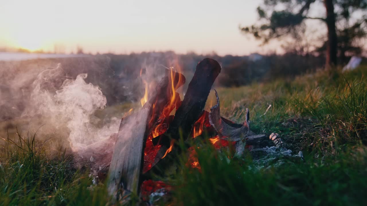 在晚上燃烧的篝火。夏天在火中燃烧的木头。火舌和白烟从火的自然背景。徒步旅行和旅游业。视频素材