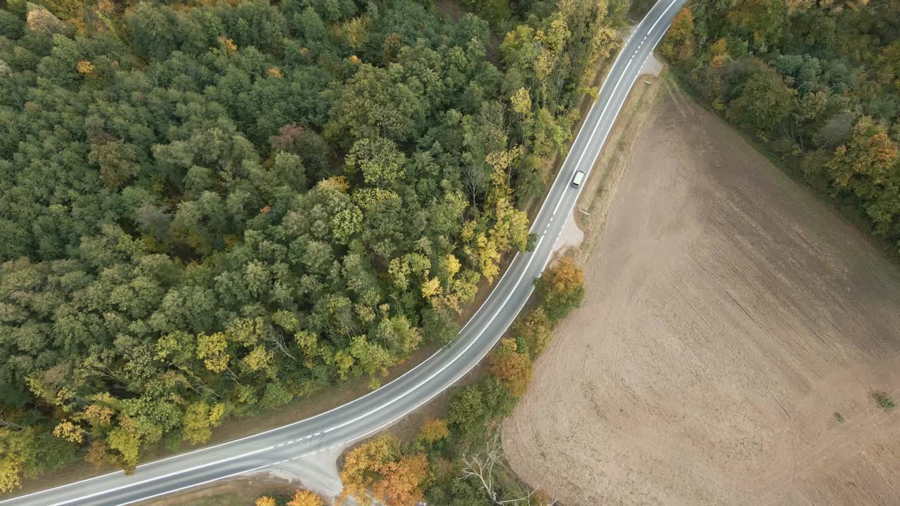 汽车在道路上通过森林视频素材