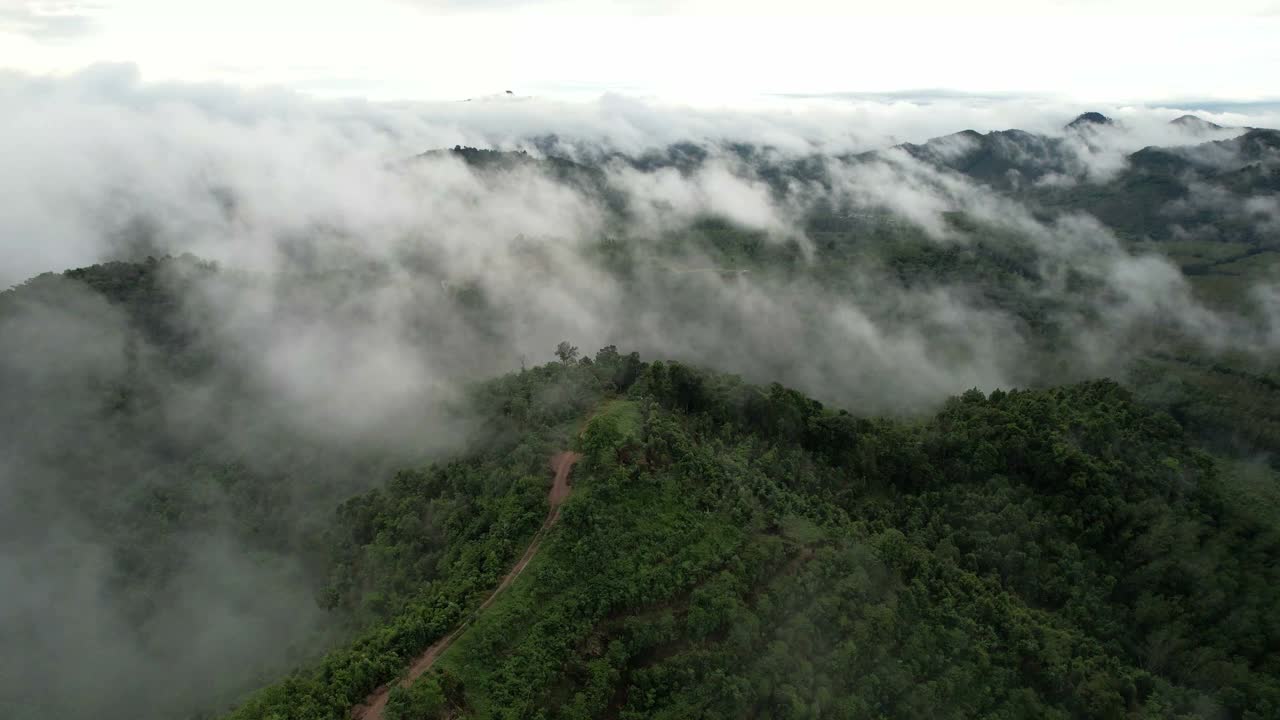 从空中看热带雨林的晨雾视频素材