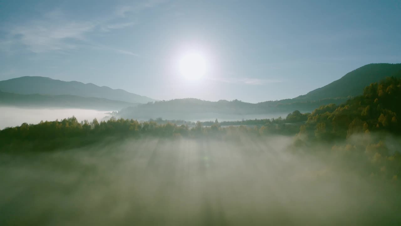 清新山林中的晨雾。视频素材