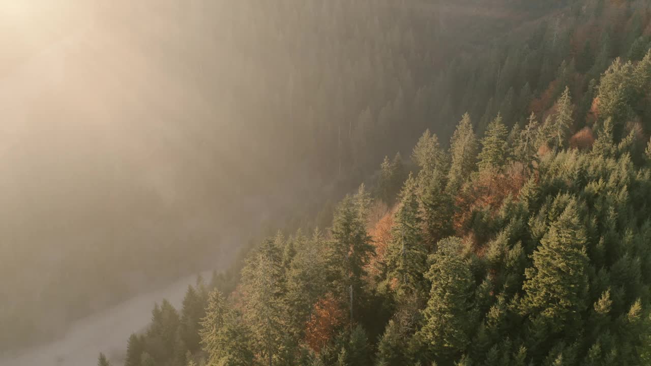 晨雾，山林晨曦视频素材