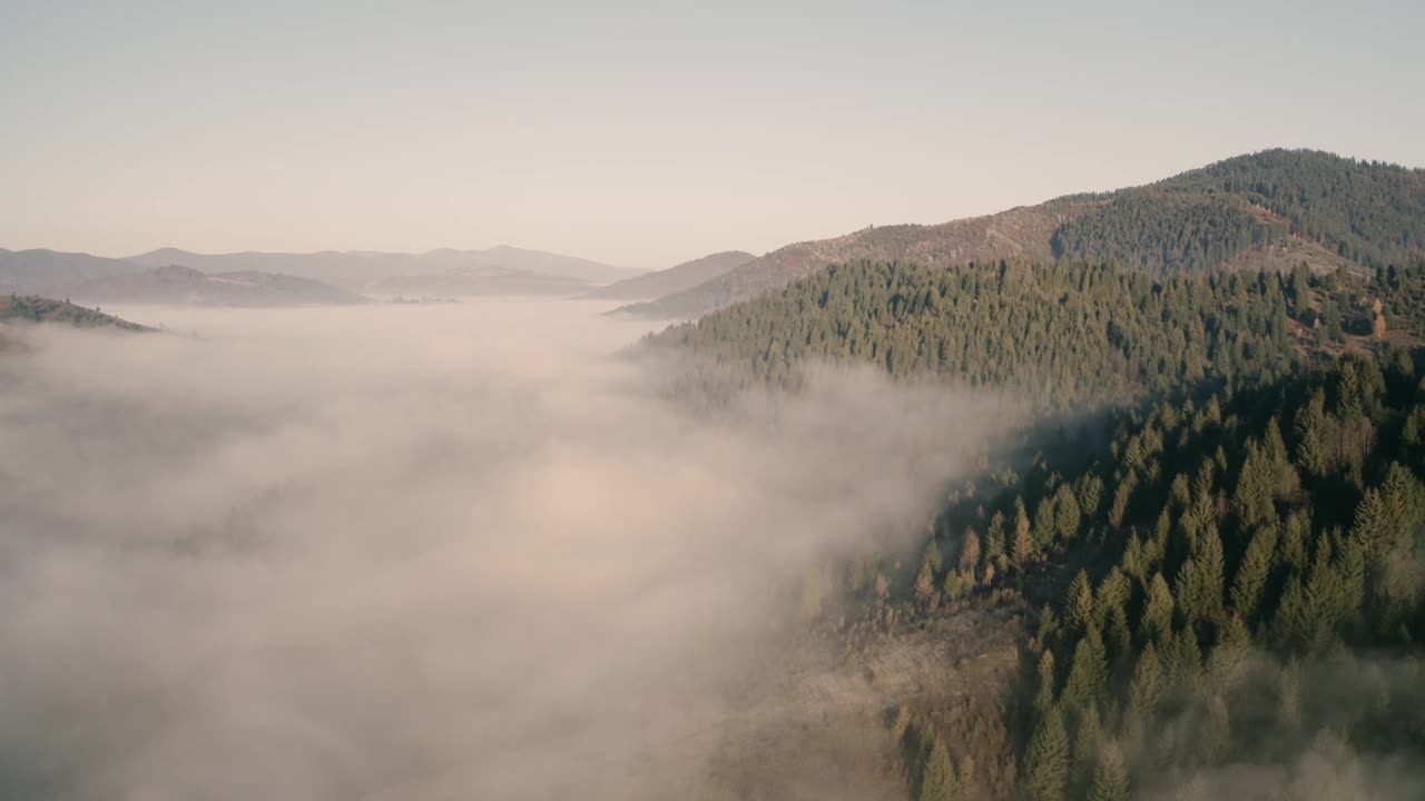 晨雾，山林晨曦视频素材