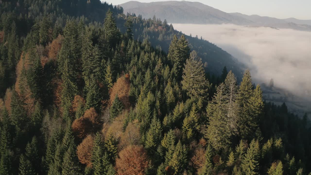 晨雾，山林晨曦视频素材