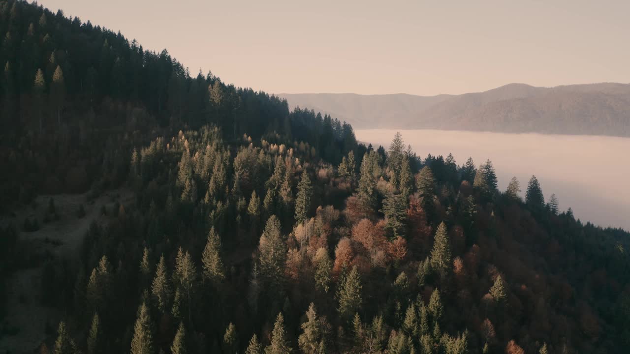 晨雾，山林晨曦视频素材