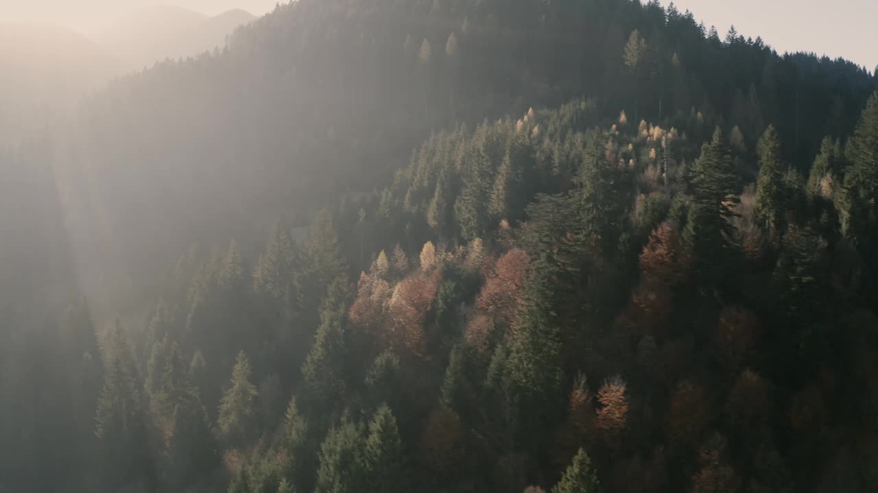 晨雾，山林晨曦视频素材