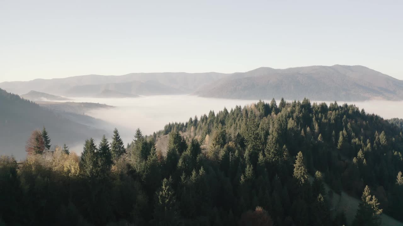 晨雾，山林晨曦视频素材