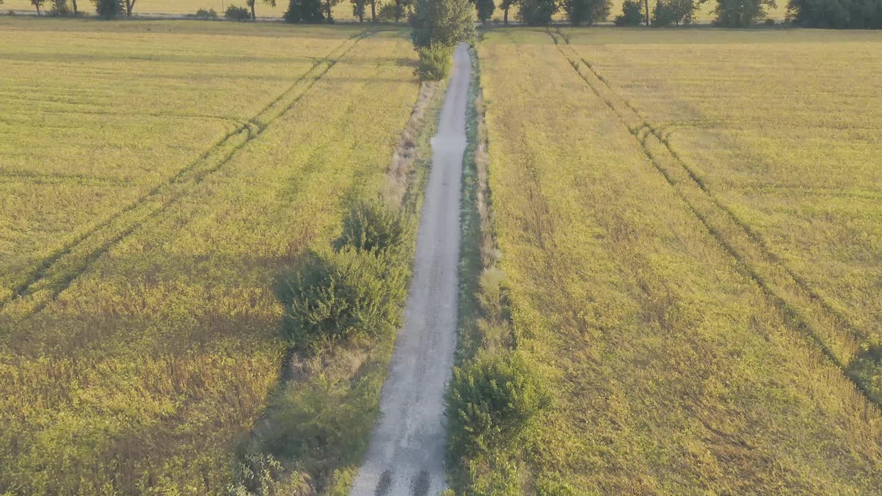 在秋天的田野中间沿着道路飞翔视频素材