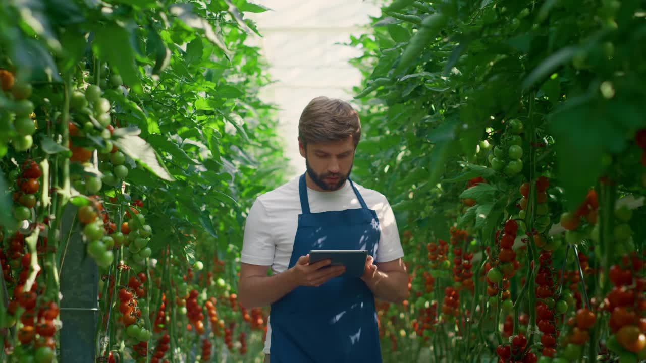 植物科学家装置监测植物生长在技术农场视频素材