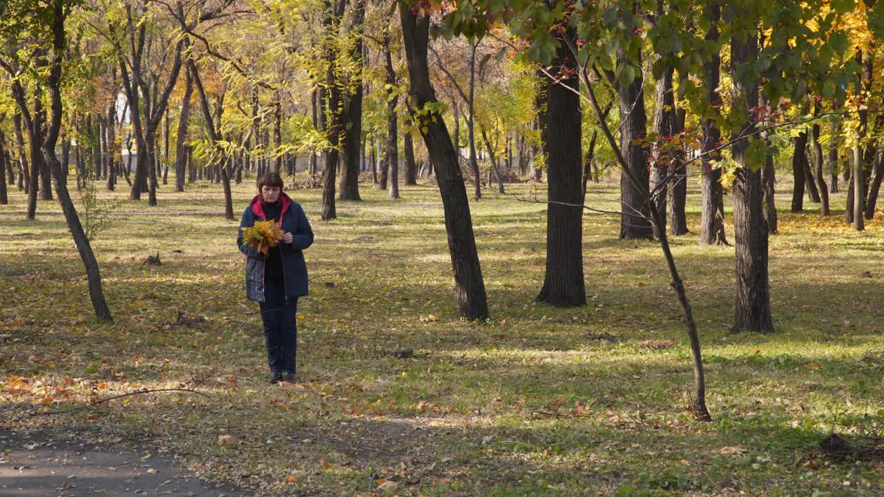 一位妇女在城市公园里收集秋叶。视频素材