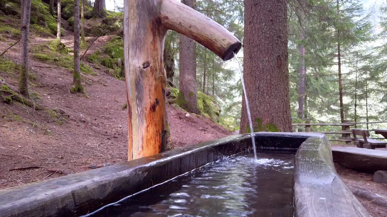 高山森林中的水槽视频素材