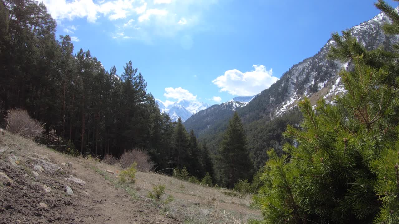 在一个阳光明媚的日子里，高山与针叶林和移动的云的高山景观的时间推移视频素材