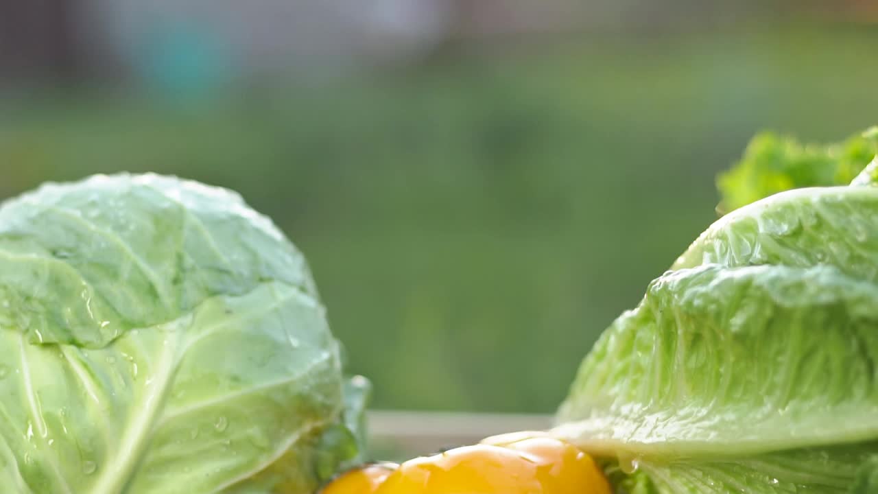 接近新鲜的绿色生菜叶子落在蔬菜盒里，慢动作视频素材