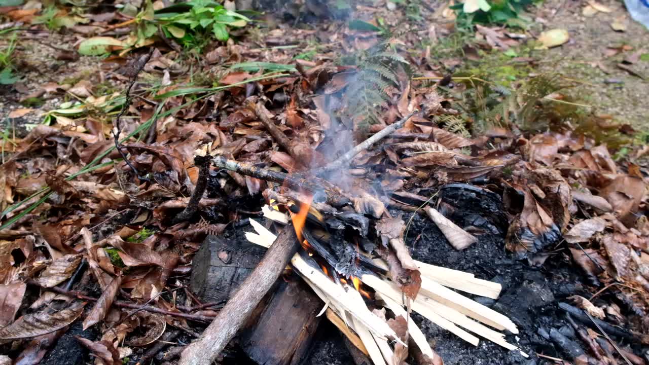 燃烧的木头。火视频素材