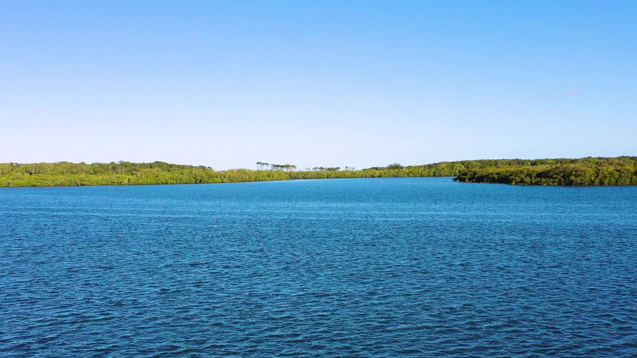 黑天鹅鸟瞰图，阳光海岸，昆士兰州，澳大利亚视频素材