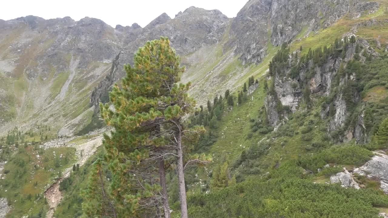 在奥地利的一座高山上，一个令人难以置信的清晰的山湖的高清视图视频素材