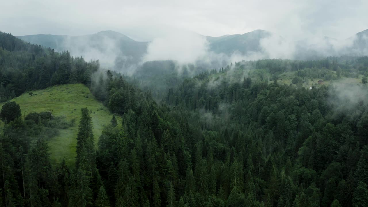 山林中清新多雾的早晨。视频素材