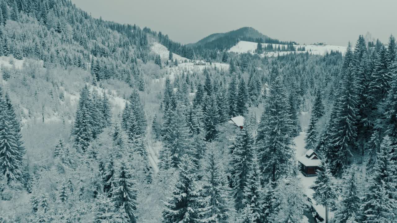 冬季空中山景秀丽。无人机在黑暗和多变的天气中在积雪覆盖的松林上空移动。视频素材