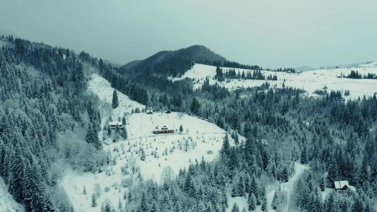 冬季空中山景秀丽。无人机在黑暗和多变的天气中在积雪覆盖的松林上空移动。视频素材